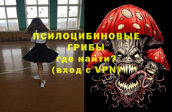 ПСИЛОЦИБИНОВЫЕ ГРИБЫ Киренск