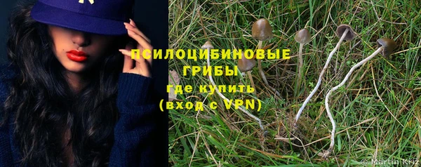 спайс Киреевск