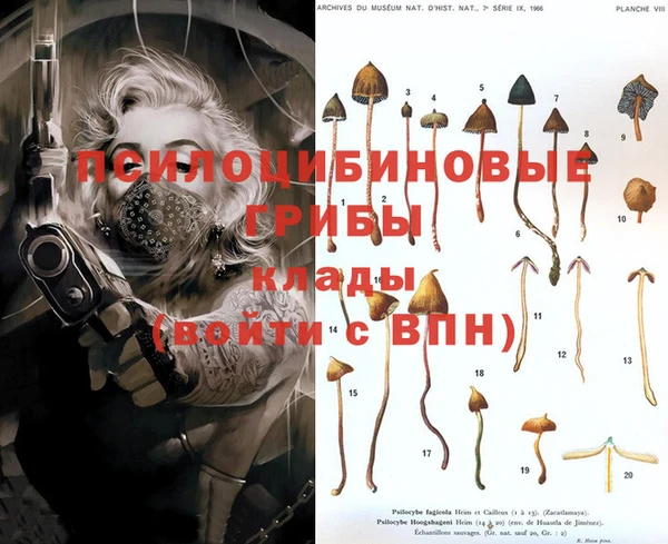 ПСИЛОЦИБИНОВЫЕ ГРИБЫ Киренск