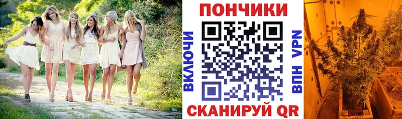 Купить закладки  Курчатов  Канабис ГИДРОПОН 